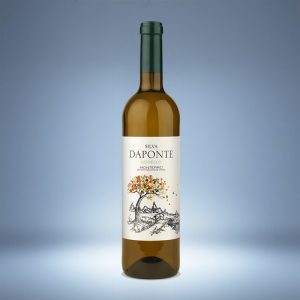 Silva Daponte Godello