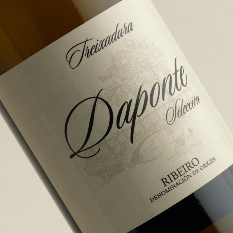 Daponte Selección - Imagen 2